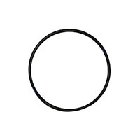 Gasket, O-Ring - (100139-012)