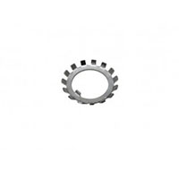 Bearing Lockwasher - (903524)