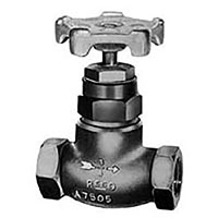 A7500 Series 1 1/4 Inch (in) Inlet Connection Size Globe Valve - (A007509BP)