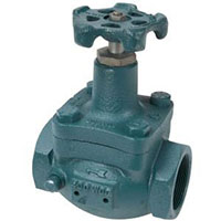 A7500 Series 2 Inch (in) Inlet Connection Size Globe Valve - (A007513AP)