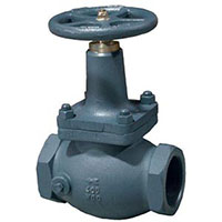 A7500 Series 3 Inch (in) Inlet Connection Size Globe Valve - (A007517AP)