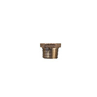 1/2 x 3/8 Inch (in) Pipe Size Bushing - (B110FE)