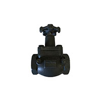 HA7513AP Series 2 Inch (in) Inlet Connection Size Globe Valve - (HA007513AP)