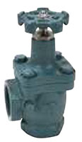 2 Inch (in) and 3 Inch (in) Globe and Angle Valves