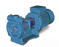 Ebsray RC Series 3.6 Kilowatt (kW) Power Regenerative Turbine Pump for Liquefied Petroleum Gas (LPG) Applications