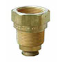 3272 Series 3/4 Inch (in) Inlet Connection Size Excess Flow Valve - (003272G)