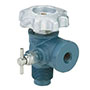 Combination Valves for Bulk Storage Containers