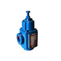 1 Inch (in) Size Bypass Valve - (EBSRV18CBS2)