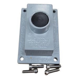 RED DOT COVER/PLUNGER ASSEMBLY